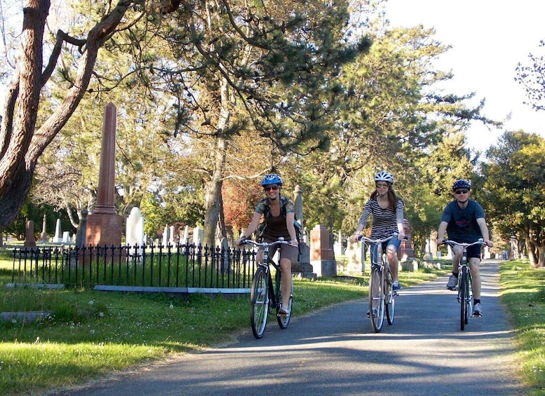 Picture 3 for Activity Victoria City Bike Tour: 2.5 Hr. History and Highlights Tour