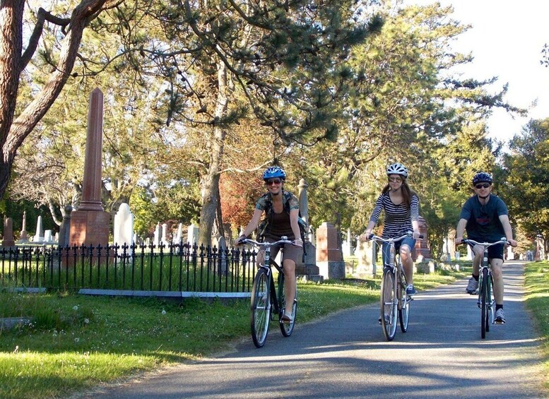 Picture 3 for Activity Victoria City Bike Tour: 2.5 Hr. History and Highlights Tour