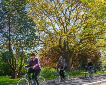 Victoria: 2-Hour History and Highlights Bike Tour