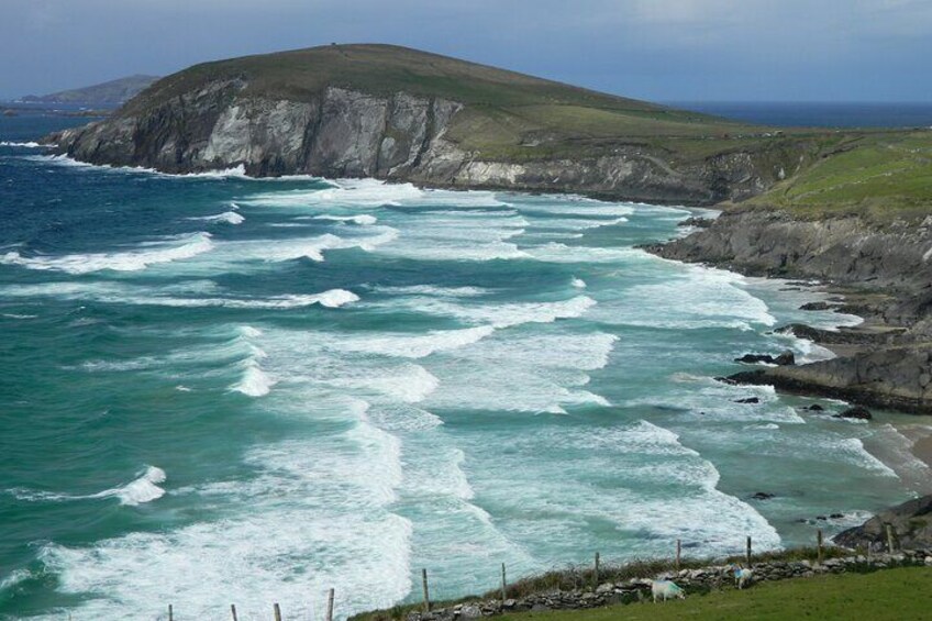 Private Full-Day Tour to Dingle and Slea Head