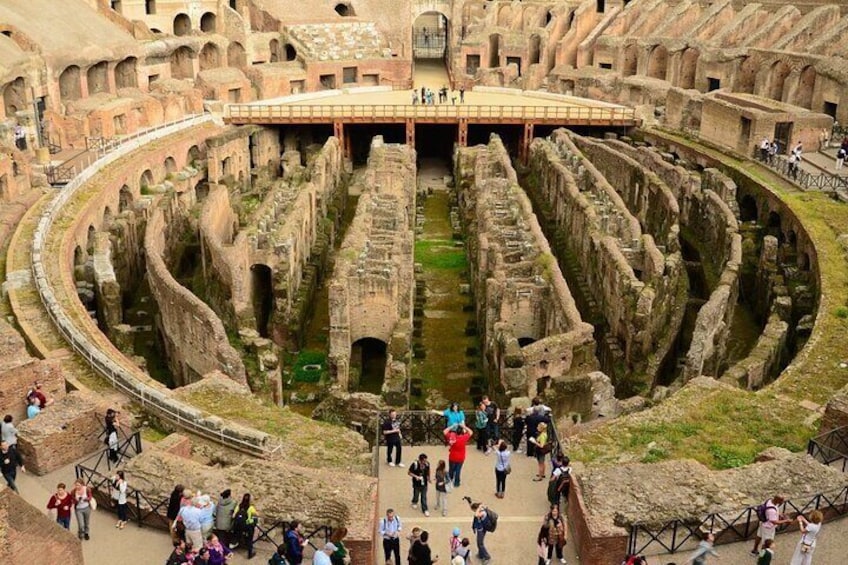 Colosseum Guided Tour with Special Access to the Gladiator Arena