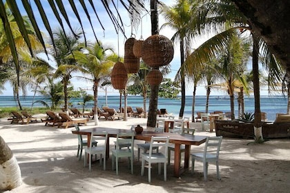 GOLD PACKAGE Costa Maya Malecon21 Beach Cruise Experience