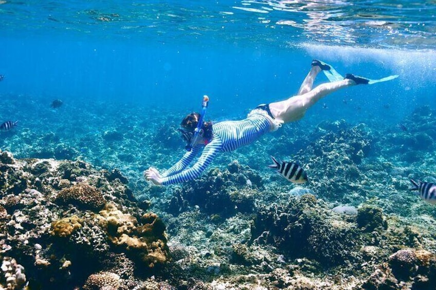 Orange or Paradise Island - Hurghada