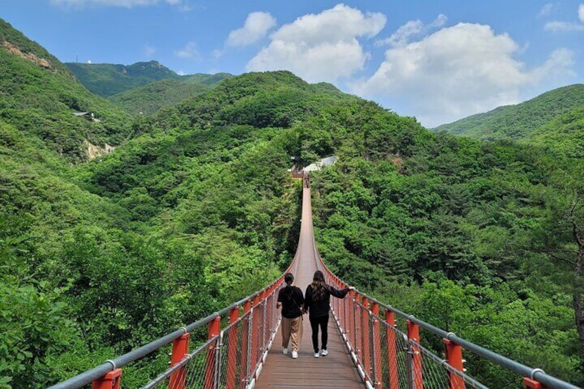 Suspension Bridge
