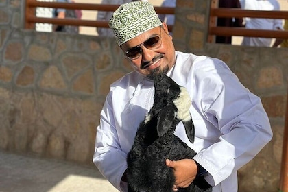 Nizwa and Oman's Historical Gems Tour