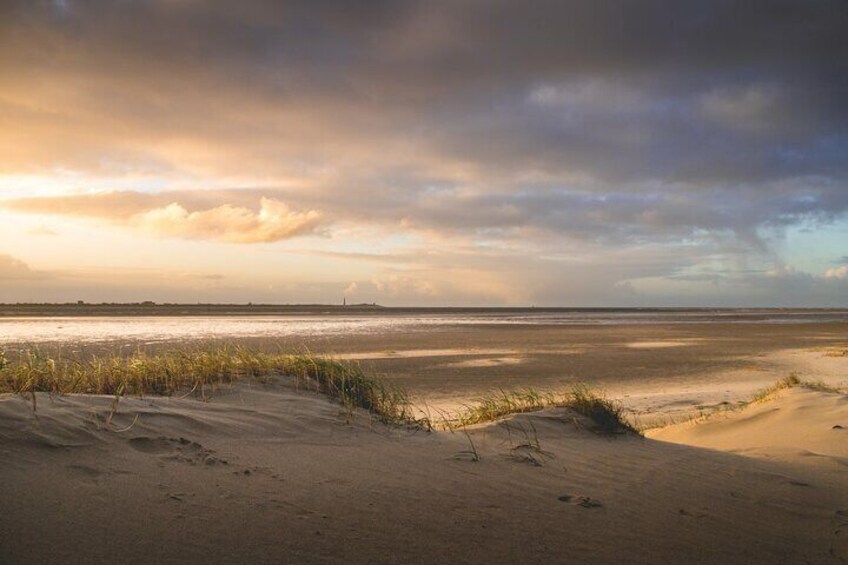 Texel Day Tour with Guide