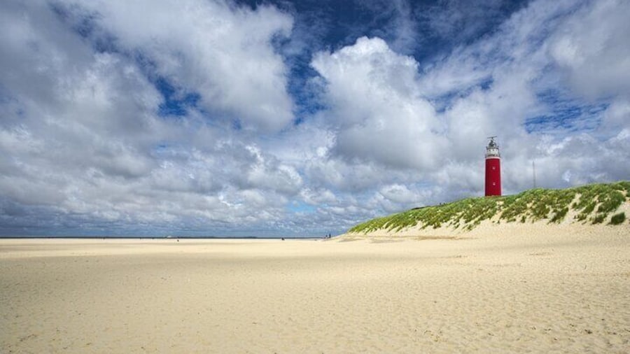 Texel Day Tour with Guide