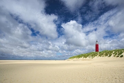 Texel Day Tour with Guide