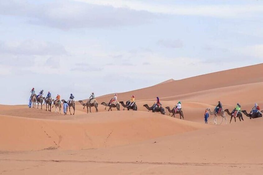 Camel trek with 1 night in a luxury desert camp with dinner