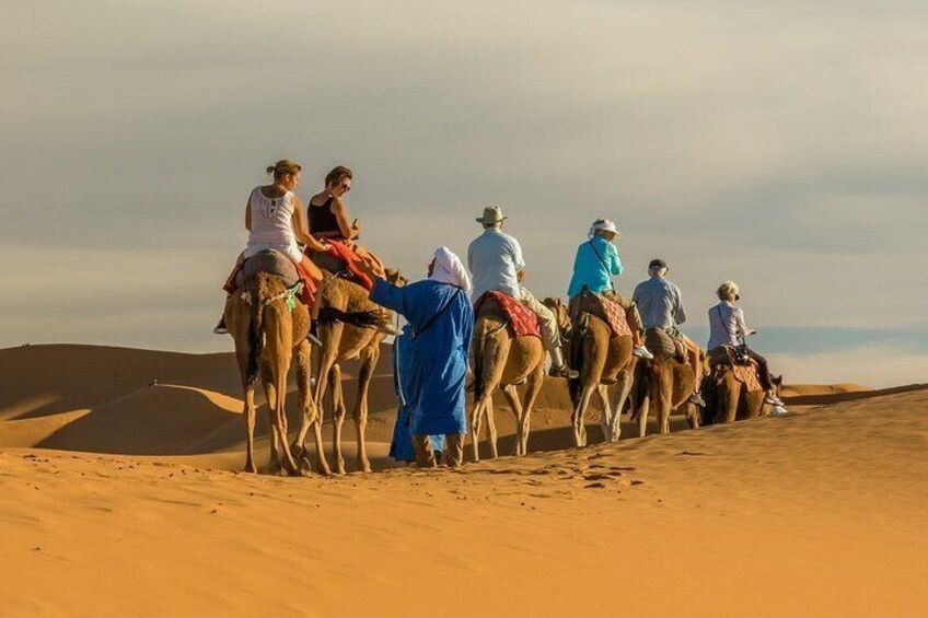 Camel trek with 1 night in a luxury desert camp with dinner