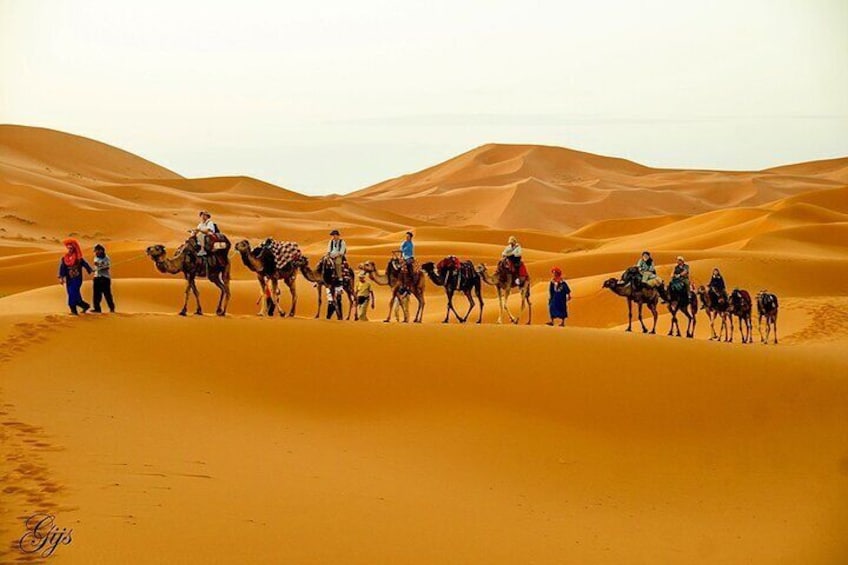 Fes to Marrakech 3 Days Group Shared Desert Tour