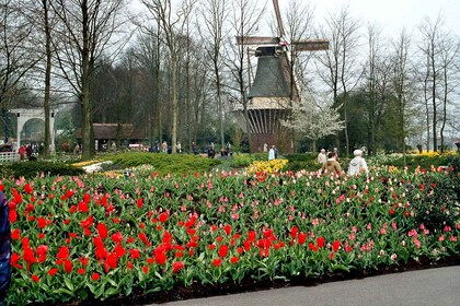 Vanuit Amsterdam: Privé Dagtocht naar Keukenhof & De Tulperij