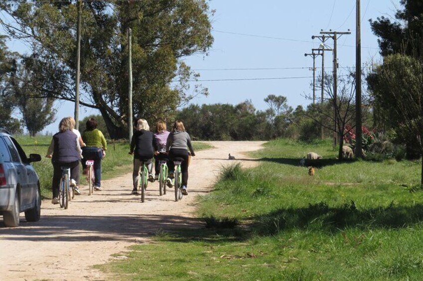 Thousand Rumbos Bike Tourism