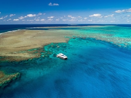 Great Barrier Reef Snorkel & Dive Cruise - 3 Reef Sites