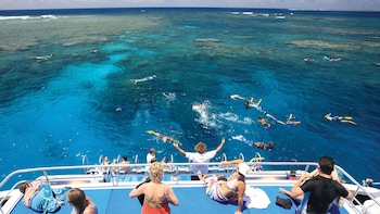 Full Day Great Barrier Reef Snorkelling Cruise with Lunch