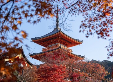 Kyoto: Personalised Guided Private Tour