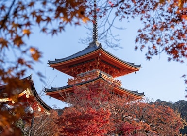 Kyoto Tur Pribadi Berpemandu yang Dipersonalisasi