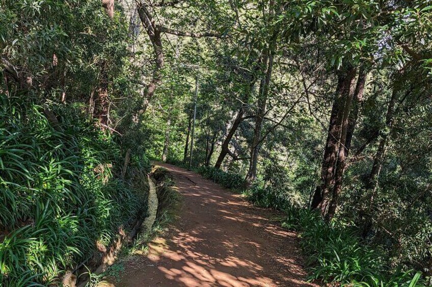 Sunrise Tour at Pico do Arieiro with coffee/tea and breakfast included 