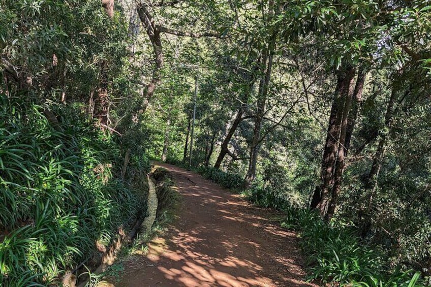 Sunrise Tour at Pico do Arieiro with coffee/tea and breakfast included