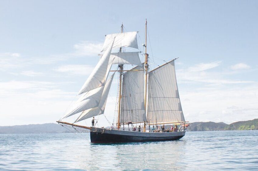 Bay of Islands Tall Ship Sailing on 'R. Tucker Thompson' Including BBQ Lunch