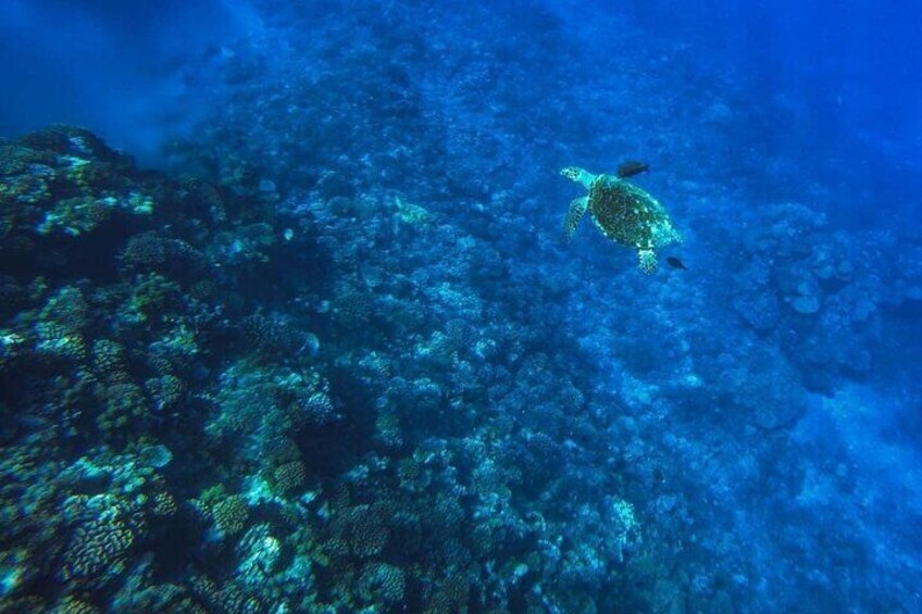 Private tour for 2 people aboard the Kaoriki Boat