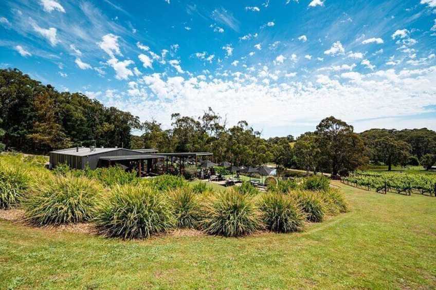 2-Hour Sparkling Brunch on the Mornington Peninsula