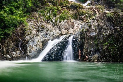 Beautiful Daintree Waterfall Walk, Magical Swim & Heavenly Lunch