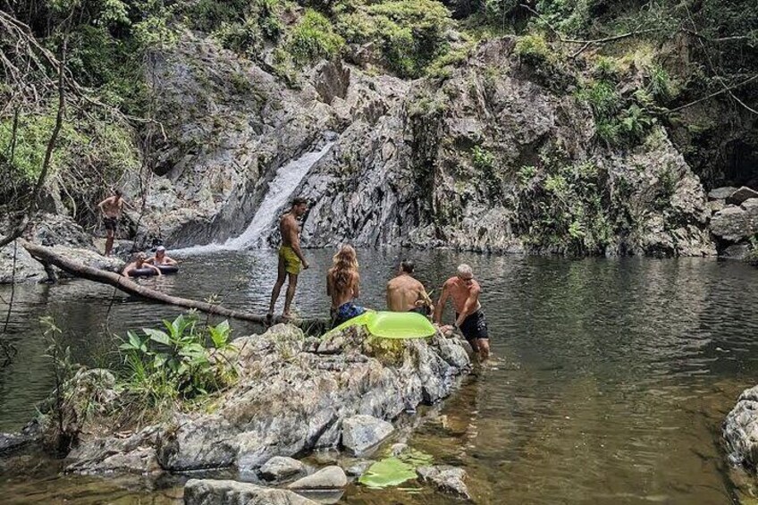 Beautiful Daintree Waterfall Hike Tour, Magical Swim and Lunch