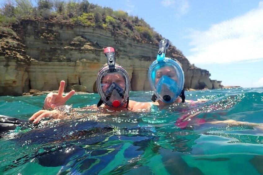 Swim With Turtles 