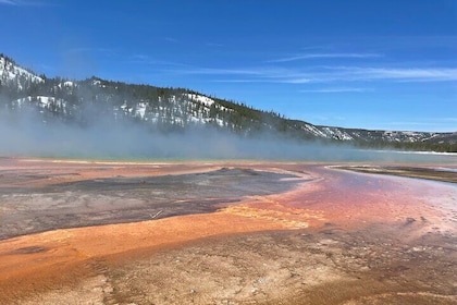 Private Customisable Full-Day Yellowstone Tour