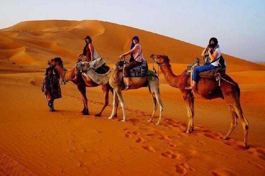 Camel Ride