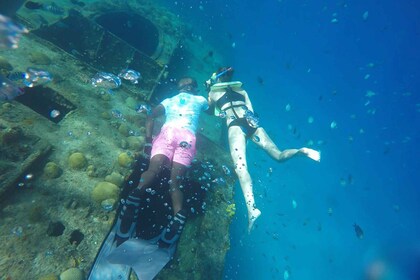 ブリッジタウンカーライル湾の亀と難破船のボートクルーズ