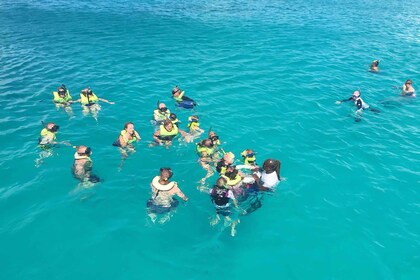 Bridgetown : Tortue de la baie de Carlisle et bateau épave croisière