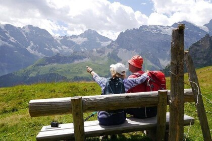Heart of the Alps Private Hiking Tour from Lucerne