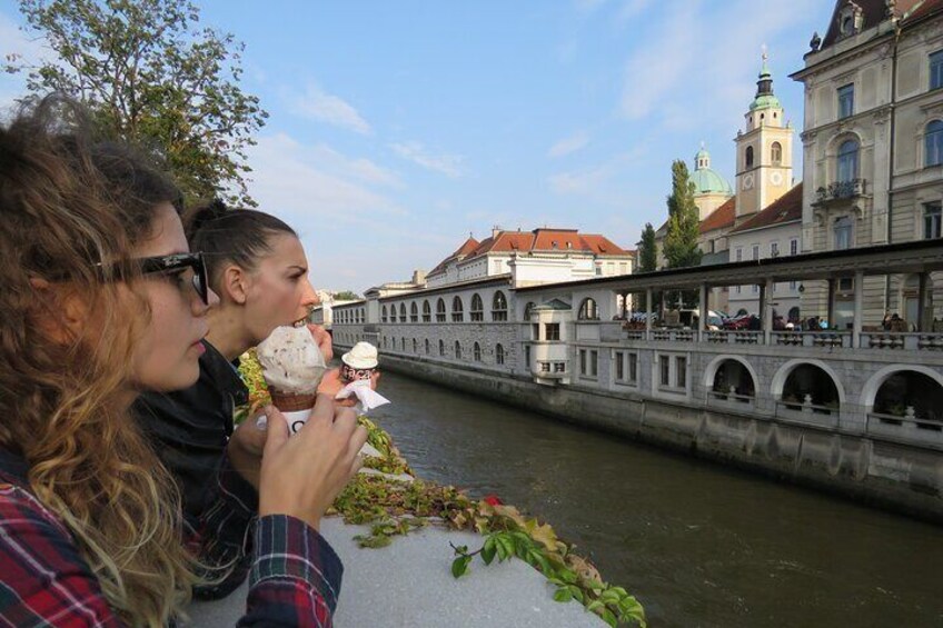 Day Tour to LJUBLJANA LAKE BLED with minivan 8pax max from Zagreb