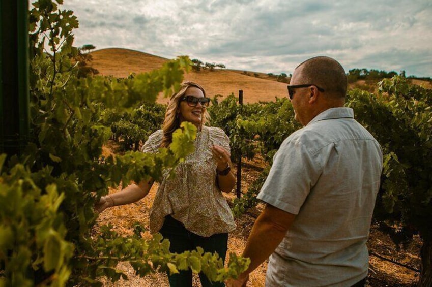 Get up close and personal with some of the best wineries in the area.