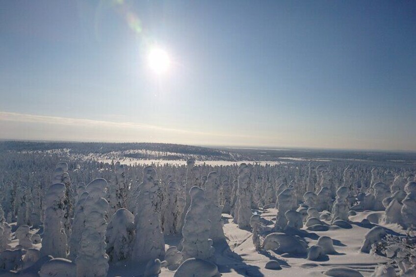 Snowshoe up a Mountain