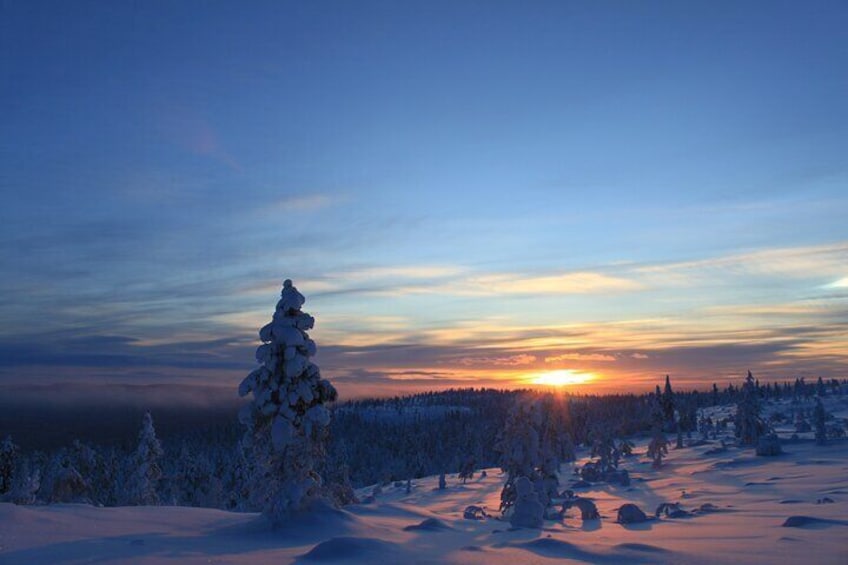 Snowshoe up a Mountain