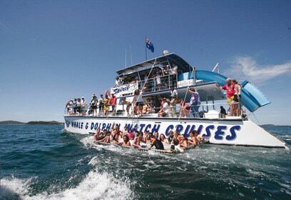 Port Stephens: Delphinbeobachtungsfahrt mit Schwimmen und Rutschen