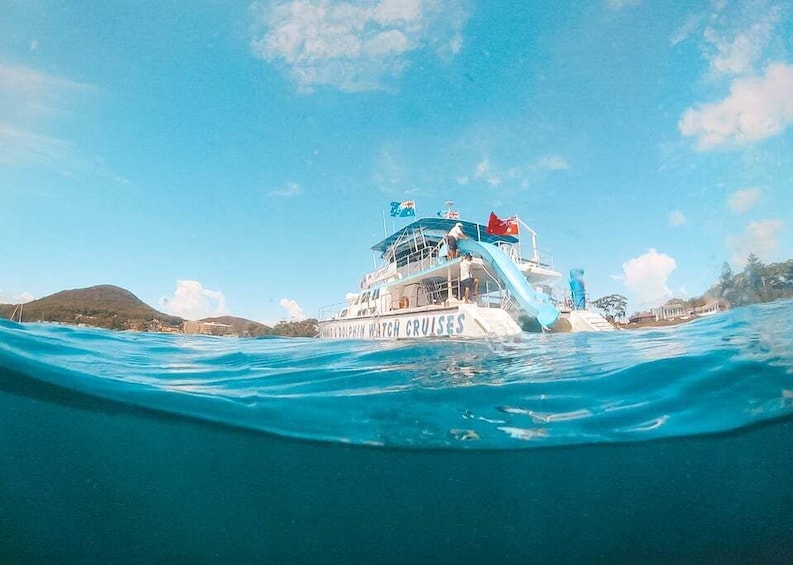 Picture 1 for Activity Port Stephens: Dolphin Watch Cruise with Swimming & Slides