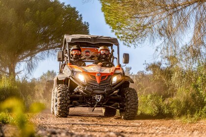 Dari Albufeira: Tur Petualangan Kereta Buggy Setengah Hari