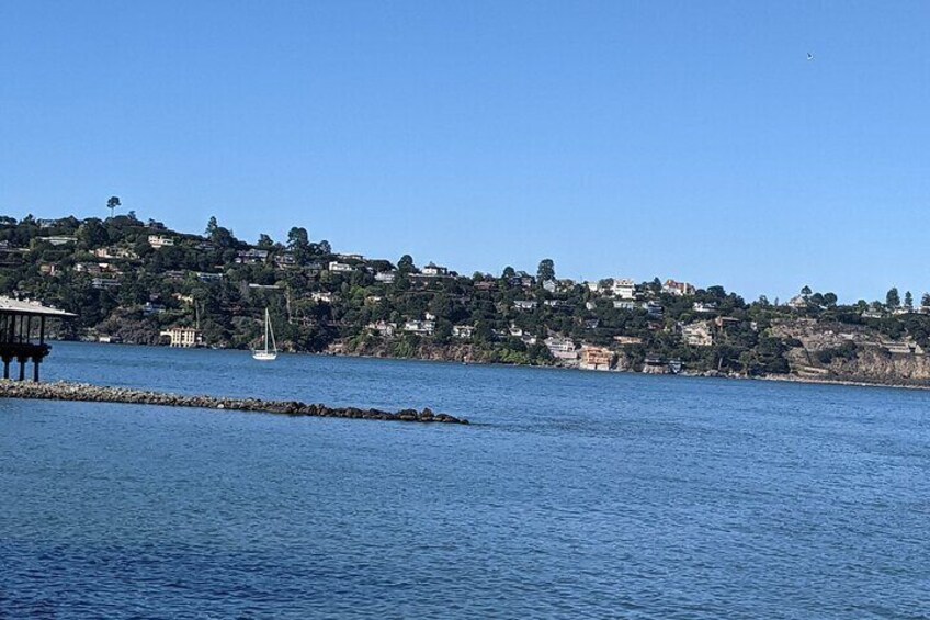 Muir Woods, Sausalito and Tiburon Day Trip from San Francisco