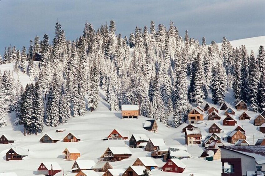 Snow tour Georgia