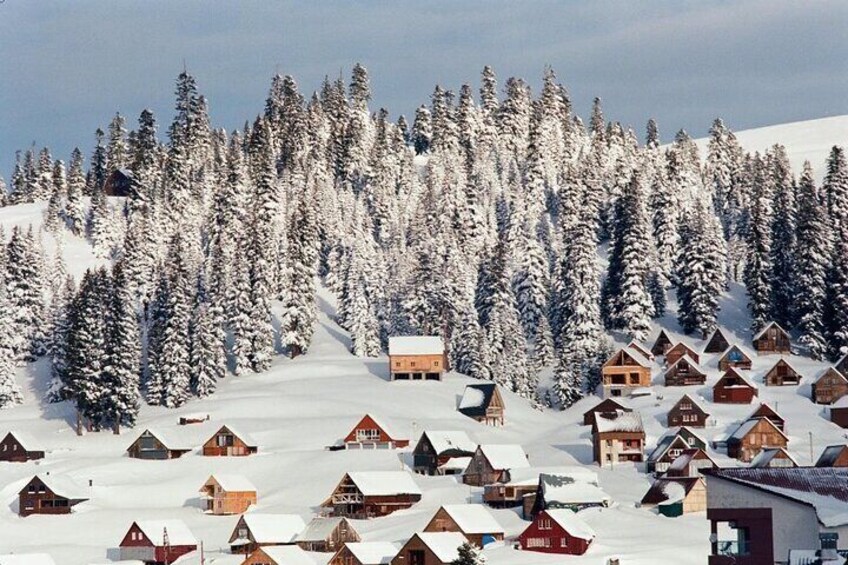 Snow tour Georgia