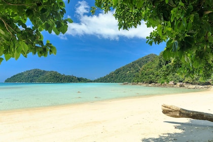 Vanuit Khao Lak: Een hele dag snorkelen bij de Surin-eilanden