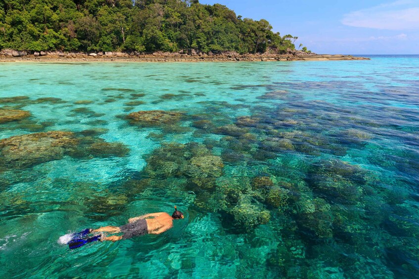 Picture 8 for Activity From Khao Lak: Full-Day Snorkeling in the Surin Islands