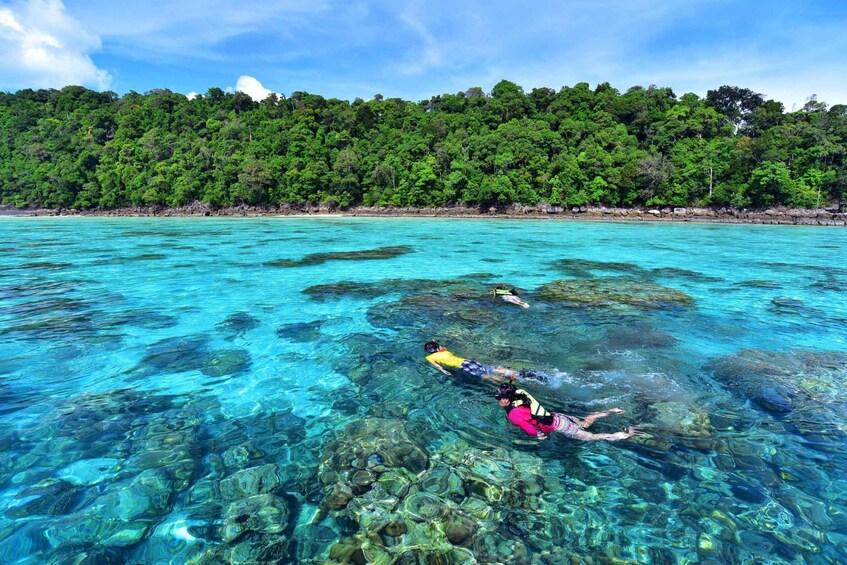 Picture 3 for Activity From Khao Lak: Full-Day Snorkeling in the Surin Islands