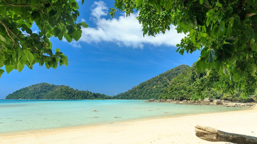 From Khao Lak: Full-Day Snorkeling in the Surin Islands