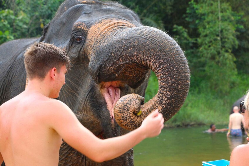 Picture 12 for Activity Khao Lak: Khao Sok Bamboo Rafting and Elephant Bathing Trip