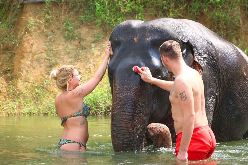 Picture 9 for Activity Khao Lak: Khao Sok Bamboo Rafting and Elephant Bathing Trip